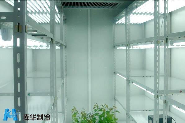 疫苗冷库工程与药品阴凉冷库 构建安全可靠的低温仓储体系